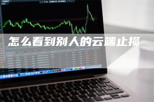 怎么看到别人的云端止损