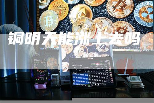 铜明天能涨上去吗
