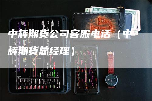 中辉期货公司客服电话(中辉期货总经理)