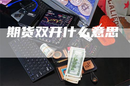期货双开什么意思