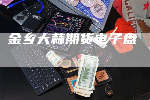 金乡大蒜期货电子盘
