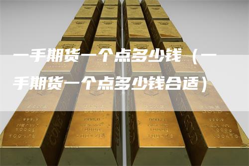 一手期货一个点多少钱（一手期货一个点多少钱合适）