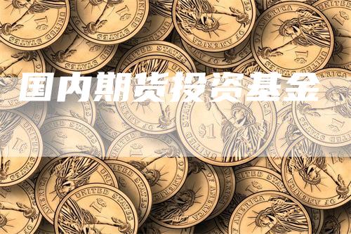 国内期货投资基金
