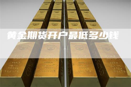黄金期货开户最低多少钱