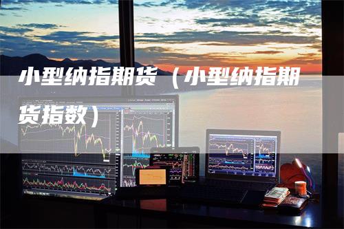 小型纳指期货（小型纳指期货指数）