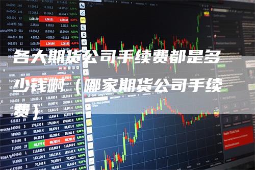 各大期货公司手续费都是多少钱啊（哪家期货公司手续费）
