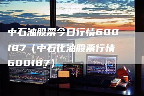 中石油股票今日行情600187（中石化油股票行情600187）