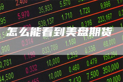 怎么能看到美盘期货