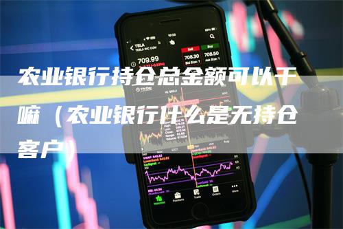 农业银行持仓总金额可以干嘛（农业银行什么是无持仓客户）