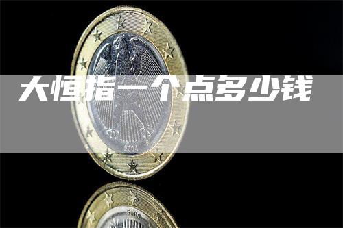 大恒指一个点多少钱