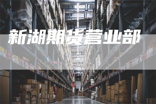 新湖期货营业部