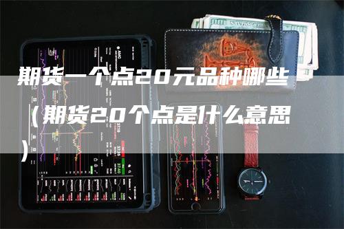 期货一个点20元品种哪些（期货20个点是什么意思）