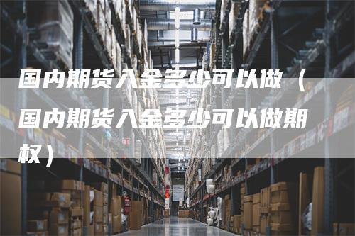 国内期货入金多少可以做(国内期货入金多少可以做期权)