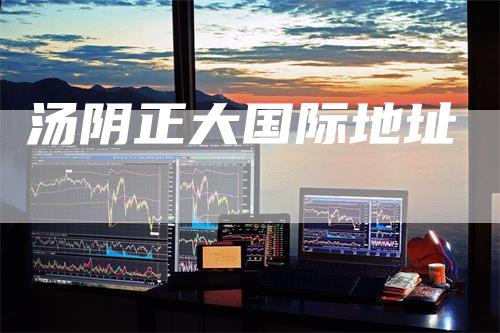 汤阴正大国际地址