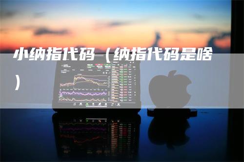 小纳指代码（纳指代码是啥）