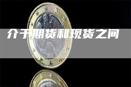 介于期货和现货之间