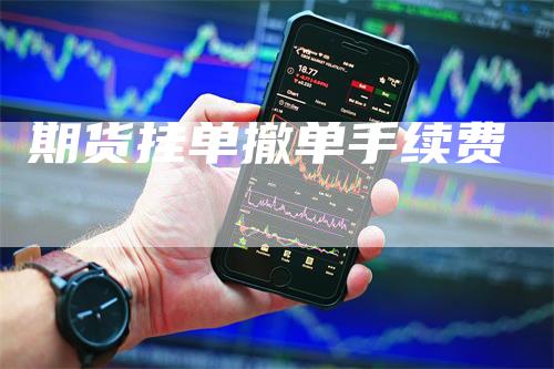 期货挂单撤单手续费