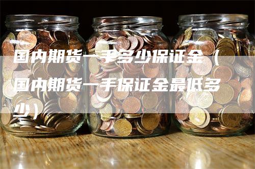 国内期货一手多少保证金(国内期货一手保证金最低多少)