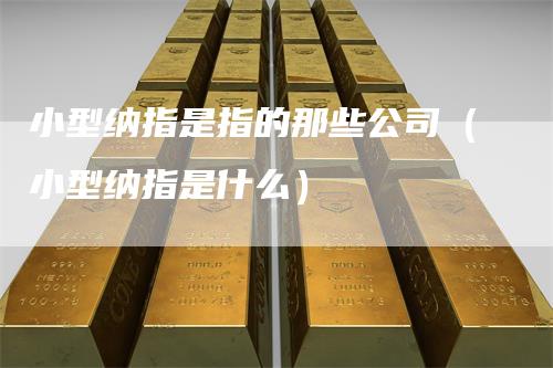 小型纳指是指的那些公司（小型纳指是什么）