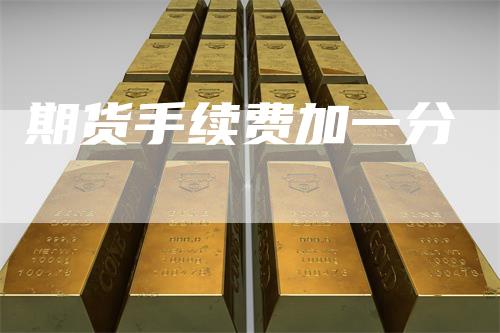 期货手续费加一分