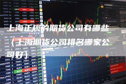 上海正规的期货公司有哪些（上海期货公司排名哪家公司好）