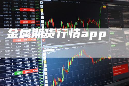 金属期货行情app