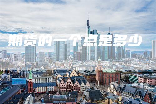 期货的一个点是多少