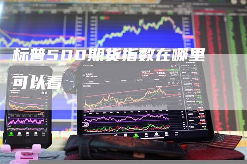 标普500期货指数在哪里可以看
