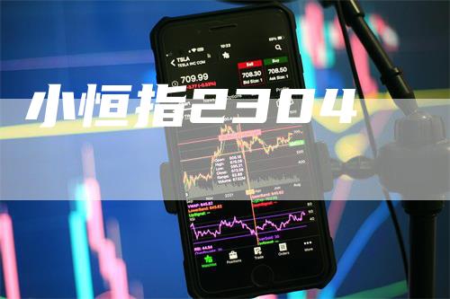 小恒指2304