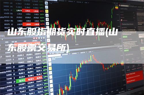山东股指期货实时直播(山东股票交易所)