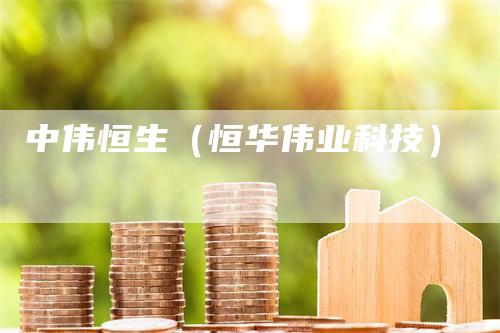 中伟恒生（恒华伟业科技）