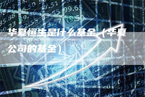华夏恒生是什么基金（华夏公司的基金）
