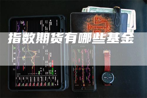 指数期货有哪些基金