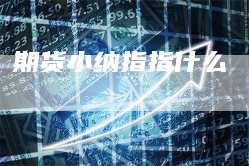 期货小纳指指什么