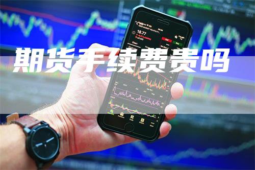 期货手续费贵吗