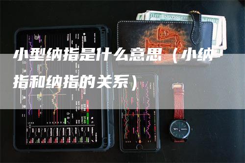 小型纳指是什么意思（小纳指和纳指的关系）