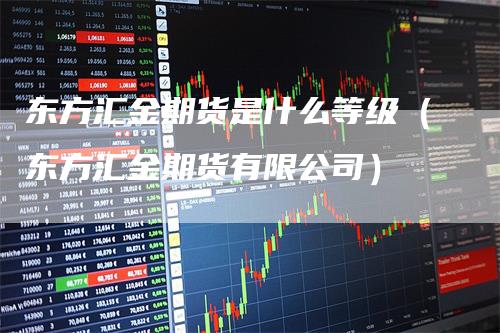 东方汇金期货是什么等级（东方汇金期货有限公司）