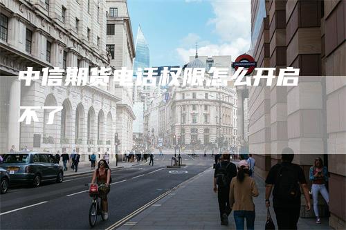 中信期货电话权限怎么开启不了