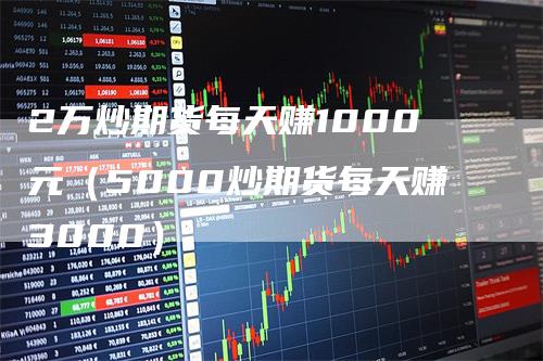 2万炒期货每天赚1000元（5000炒期货每天赚3000）