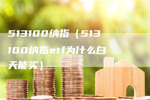 513100纳指（513100纳指etf为什么白天能买）