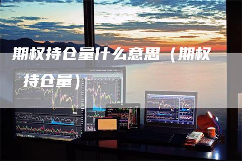期权持仓量什么意思（期权 持仓量）
