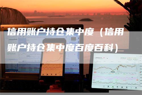 信用账户持仓集中度（信用账户持仓集中度百度百科）