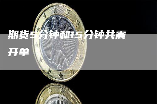 期货5分钟和15分钟共震开单